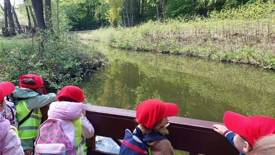 Grafika #82: 18.05.2023 Wycieczka do Doliny Charlotty cz.I