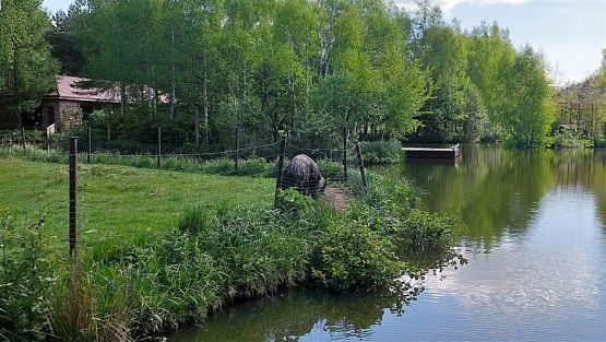 Grafika #87: 18.05.2023 Wycieczka do Doliny Charlotty cz.I