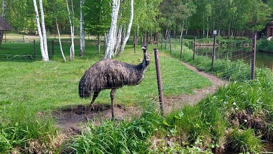 Grafika #88: 18.05.2023 Wycieczka do Doliny Charlotty cz.I