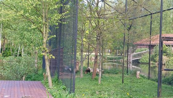 Grafika #92: 18.05.2023 Wycieczka do Doliny Charlotty cz.I