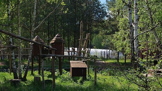 Grafika #94: 18.05.2023 Wycieczka do Doliny Charlotty cz.I