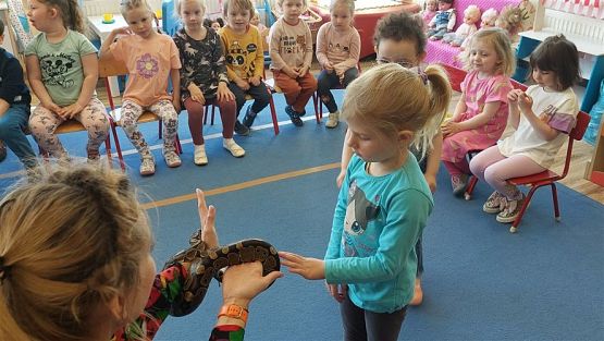 Grafika #10: 12.05.2023 Poznajemy gady - Spotkanie z Panią Edytą