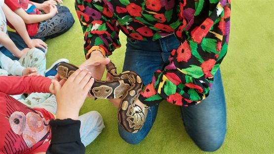 Grafika #46: 12.05.2023 Poznajemy gady - Spotkanie z Panią Edytą