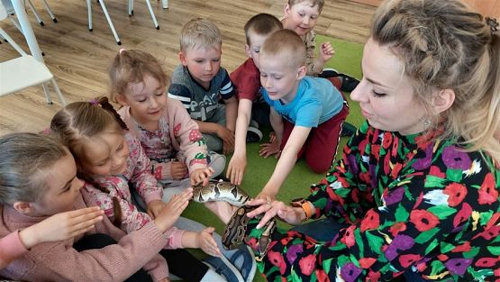 Grafika #49: 12.05.2023 Poznajemy gady - Spotkanie z Panią Edytą