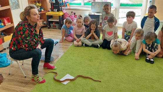 Grafika #55: 12.05.2023 Poznajemy gady - Spotkanie z Panią Edytą