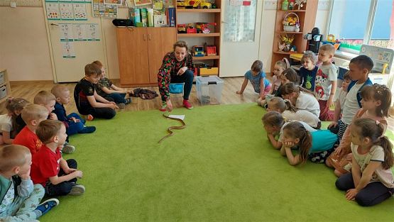 Grafika #57: 12.05.2023 Poznajemy gady - Spotkanie z Panią Edytą