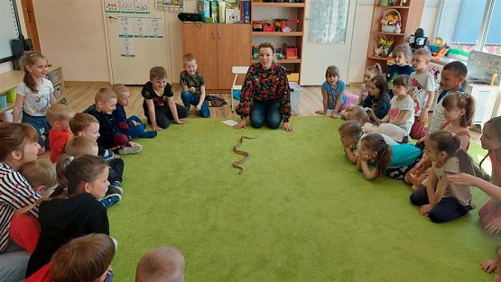 Grafika #58: 12.05.2023 Poznajemy gady - Spotkanie z Panią Edytą