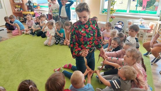 Grafika #62: 12.05.2023 Poznajemy gady - Spotkanie z Panią Edytą