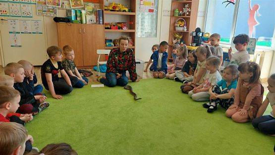 Grafika #67: 12.05.2023 Poznajemy gady - Spotkanie z Panią Edytą