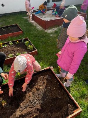 Grafika #1: 19.04.2023 Wiosenny ogródek