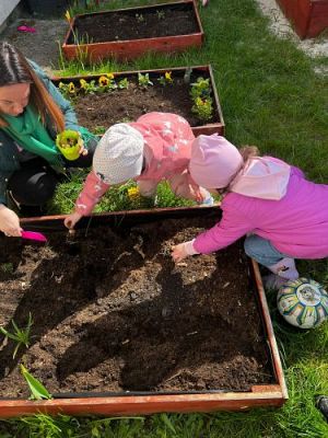 Grafika #12: 19.04.2023 Wiosenny ogródek
