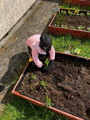 Grafika #18: 19.04.2023 Wiosenny ogródek