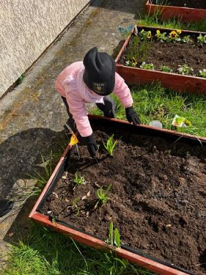 Grafika #19: 19.04.2023 Wiosenny ogródek