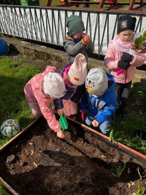 Grafika #49: 19.04.2023 Wiosenny ogródek