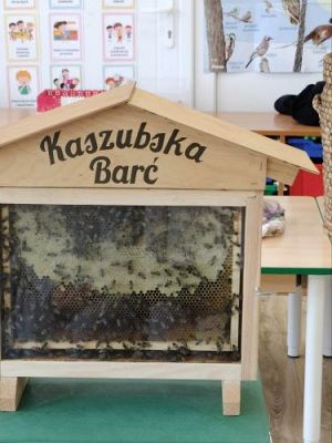 Grafika #12: 17.04.2023 Warsztaty pasieczne - Kaszubska Barć