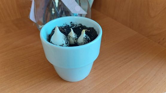 Grafika #21: 14.03.2023 Zajęcia edukacyjno-przyrodnicze z panią ze Słowińskiego Parku Narodowego