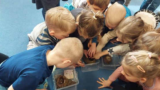 Grafika #37: 14.03.2023 Zajęcia edukacyjno-przyrodnicze z panią ze Słowińskiego Parku Narodowego