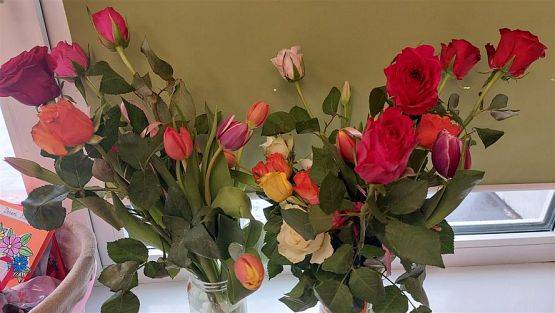 Grafika #6: 08 marca 2023 Dzień Kobiet