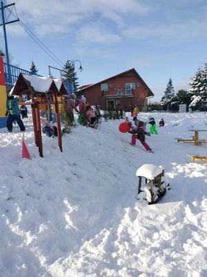 Grafika #16: 06.02.2023 Zimowe zabawy w ogrodzie przedszkolnym