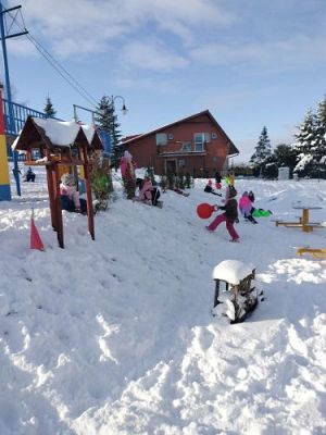 Grafika #17: 06.02.2023 Zimowe zabawy w ogrodzie przedszkolnym