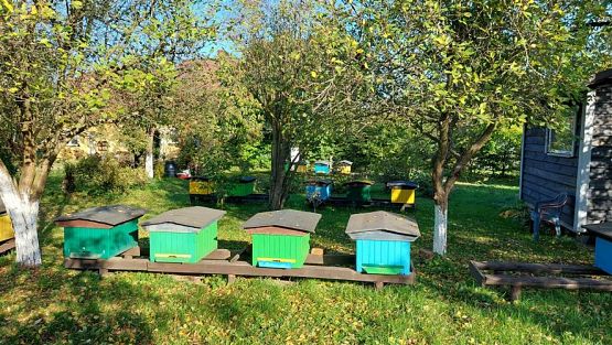 Grafika #5: 13.10.2022 Z wizytą w pasiece - Gr III