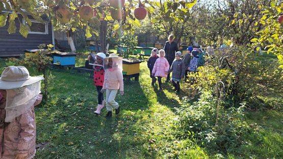 Grafika #14: 13.10.2022 Z wizytą w pasiece - Gr III