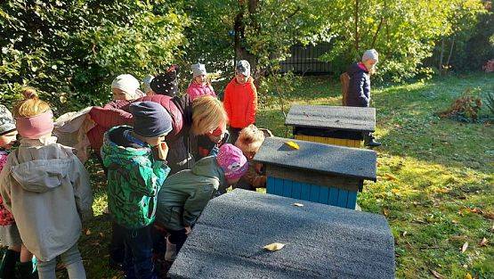 Grafika #19: 13.10.2022 Z wizytą w pasiece - Gr III