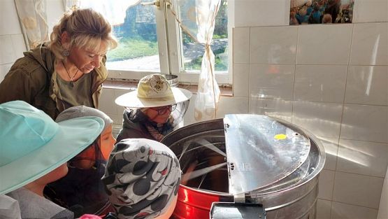 Grafika #25: 13.10.2022 Z wizytą w pasiece - Gr III