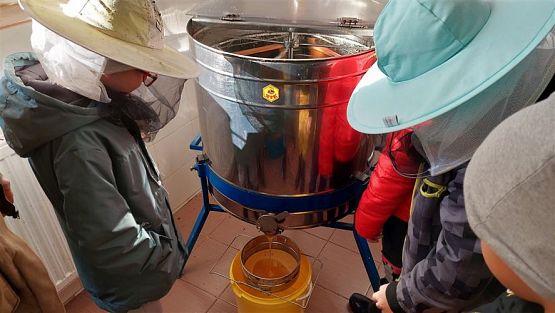 Grafika #26: 13.10.2022 Z wizytą w pasiece - Gr III