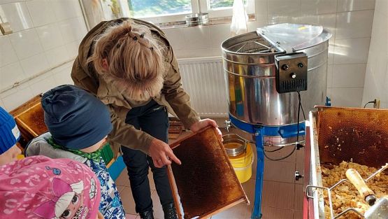 Grafika #27: 13.10.2022 Z wizytą w pasiece - Gr III