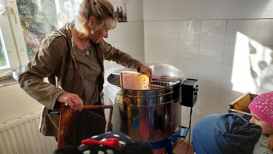 Grafika #29: 13.10.2022 Z wizytą w pasiece - Gr III