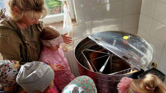 Grafika #32: 13.10.2022 Z wizytą w pasiece - Gr III