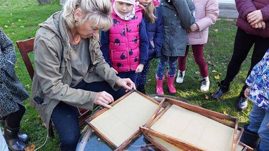 Grafika #43: 13.10.2022 Z wizytą w pasiece - Gr III