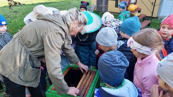 Grafika #44: 13.10.2022 Z wizytą w pasiece - Gr III