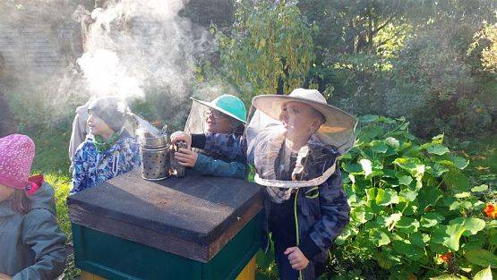 Grafika #47: 13.10.2022 Z wizytą w pasiece - Gr III