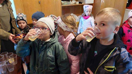 Grafika #49: 13.10.2022 Z wizytą w pasiece - Gr III