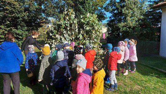 Grafika #5: 11.10.2022 W sadzie i ogrodzie gr III