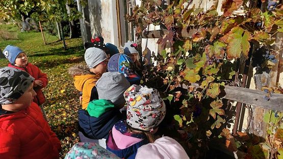 Grafika #10: 11.10.2022 W sadzie i ogrodzie gr III