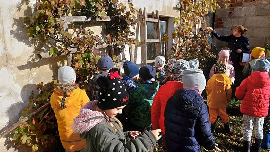 Grafika #12: 11.10.2022 W sadzie i ogrodzie gr III