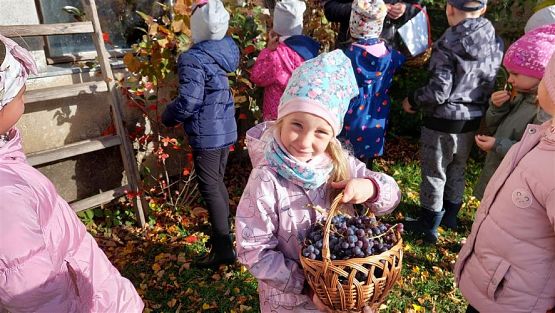 Grafika #15: 11.10.2022 W sadzie i ogrodzie gr III