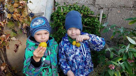 Grafika #17: 11.10.2022 W sadzie i ogrodzie gr III