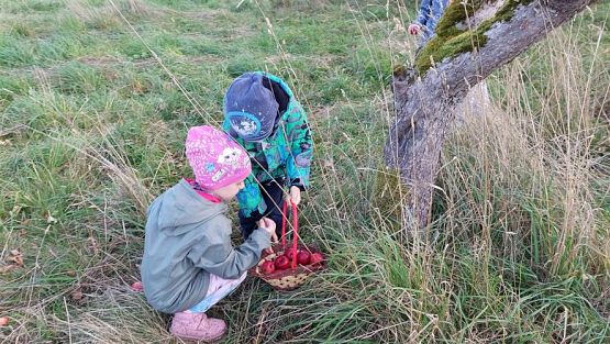 Grafika #22: 11.10.2022 W sadzie i ogrodzie gr III