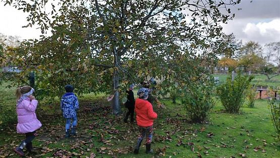 Grafika #27: 11.10.2022 W sadzie i ogrodzie gr III