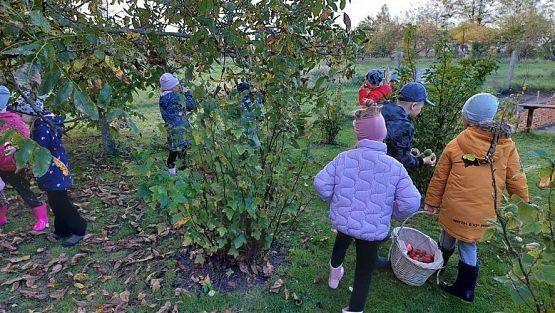 Grafika #30: 11.10.2022 W sadzie i ogrodzie gr III