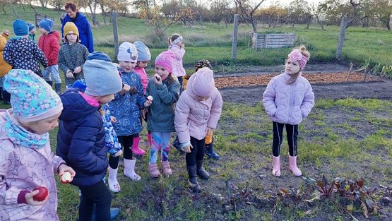 Grafika #32: 11.10.2022 W sadzie i ogrodzie gr III