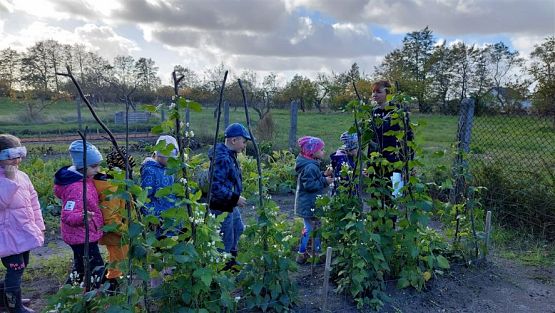 Grafika #35: 11.10.2022 W sadzie i ogrodzie gr III