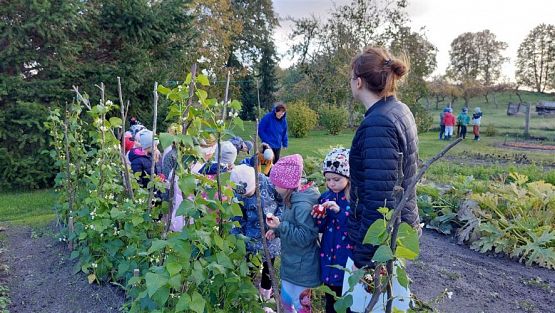 Grafika #36: 11.10.2022 W sadzie i ogrodzie gr III