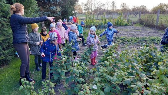 Grafika #37: 11.10.2022 W sadzie i ogrodzie gr III