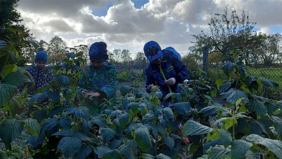 Grafika #38: 11.10.2022 W sadzie i ogrodzie gr III