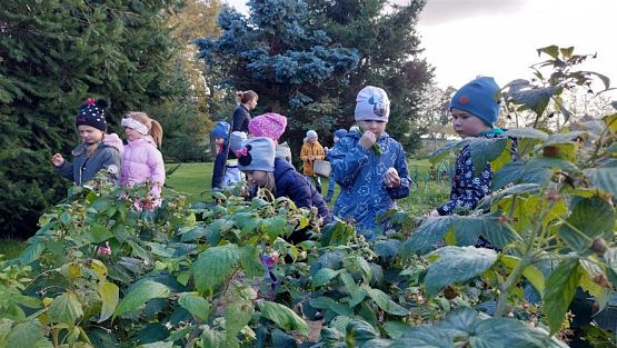 Grafika #39: 11.10.2022 W sadzie i ogrodzie gr III